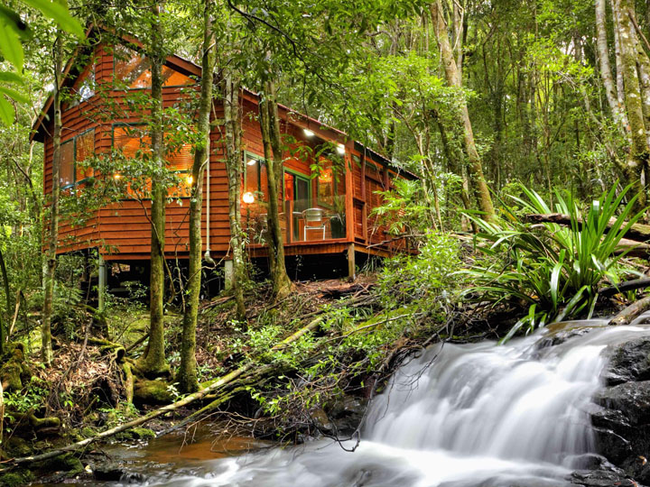 Rainforest Cabins Springbrook